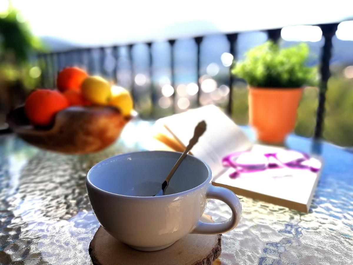 Appartement Tramuntana *